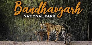 Bandhavgarh Tiger Reserve